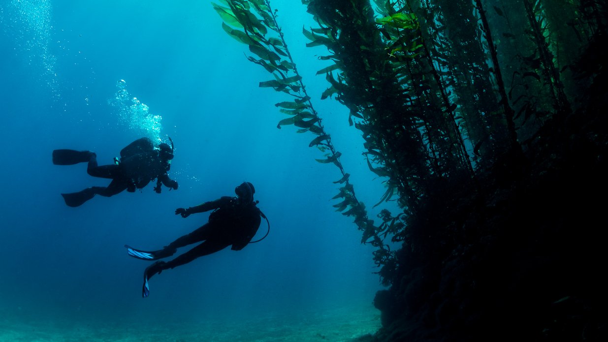 PADI Deep Diving Specialty