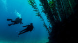 PADI Deep Diving Specialty
